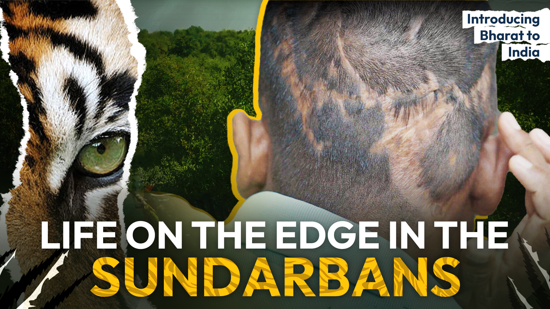 Sunderbans thumbnail 2_2